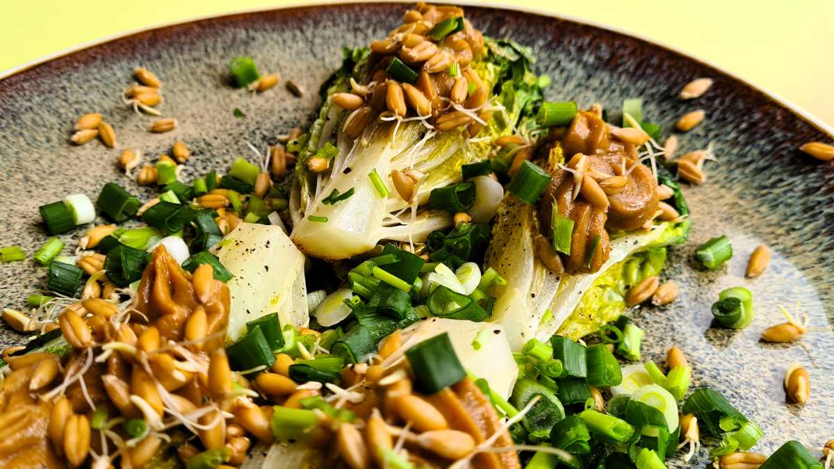 Angebratener Salat 7