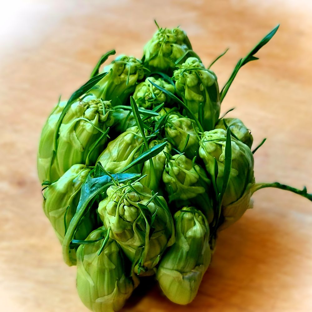 Wintersalat mit Puntarella 4